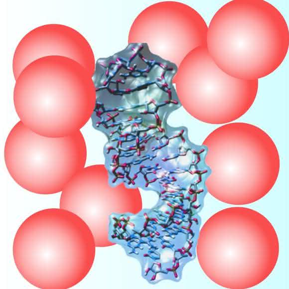 RNA-Haarnadel
