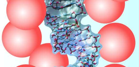 RNA-Haarnadel