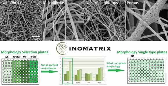 InoMatrix Morphology Kit