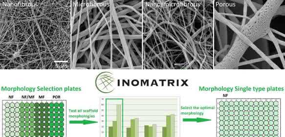 InoMatrix Morphology Kit