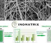 InoMatrix Morphology Kit