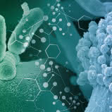 Jahrestagung 2016 der Vereinigung für Allgemeine und Angewandte Mikrobiologie (VAAM)