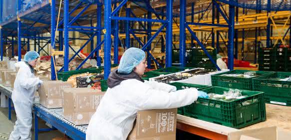 B+S Logistik Kommissionierung Frischebox B+S Logistik Kommissionierung Frischebox