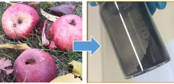 Äpfel