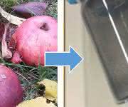Äpfel