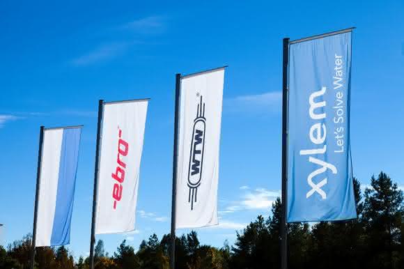 Xylem