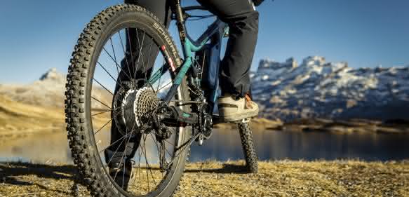 E-Bike-Motor Bikedrive