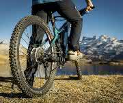 E-Bike-Motor Bikedrive E-Bike-Motor Bikedrive