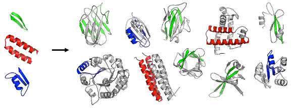 Die ersten gefalteten Proteine sind vermutlich aus einer Reihe ursprünglicher Peptide entstanden. (Copyright: Vikram Alva / Max-Planck-Institut für Entwicklungsbiologie) Die ersten gefalteten Proteine sind vermutlich aus einer Reihe ursprünglicher Peptide entstanden. (Copyright: Vikram Alva / Max-Planck-Institut für Entwicklungsbiologie)