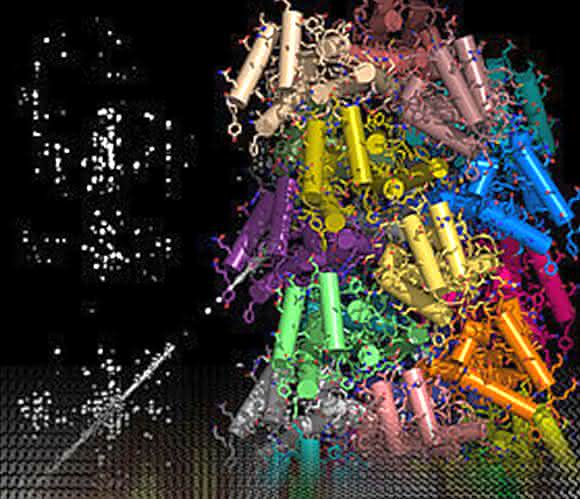 NMR-spektroskopische Daten und ein Rechenalgorithmus führen zur Darstellung der hochauflösenden Struktur von Proteinen (© Benjamin Bardiaux). NMR-spektroskopische Daten und ein Rechenalgorithmus führen zur Darstellung der hochauflösenden Struktur von Proteinen (© Benjamin Bardiaux).