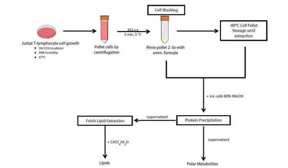 Liquid Chromatography-Mass Spectrometry Metabolic and Lipidomic Sample Preparation: Workflow for Suspension-Cultured Mammalian Cells using Jurkat T lymphocyte Cells