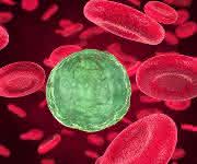 Liquid Chromatography-Mass Spectrometry Metabolic and Lipidomic Sample Preparation: Workflow for Suspension-Cultured Mammalian Cells using Jurkat T lymphocyte Cells