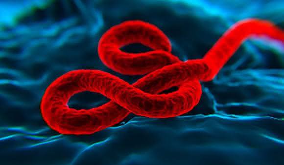Ebola Virus