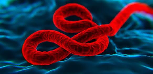 Ebola Virus