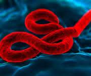 Ebola Virus