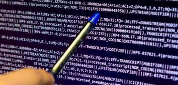 Genom-Analysen