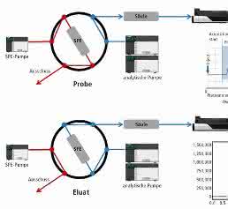 Online-SPE-System Online-SPE-System