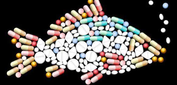 Neue schnelle LC-MS/MS-Methode mit dem LCMS-8060: Medikamentenrückstände  in Oberflächengewässern