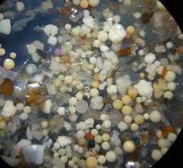 Mikroplastik