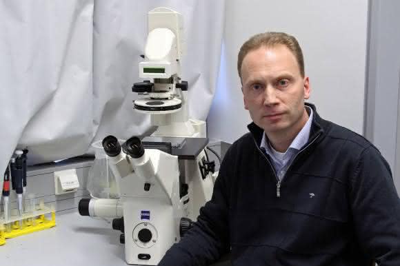 Prof. Dr. Falk Nimmerjahn Prof. Dr. Falk Nimmerjahn