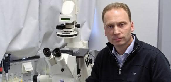 Prof. Dr. Falk Nimmerjahn Prof. Dr. Falk Nimmerjahn