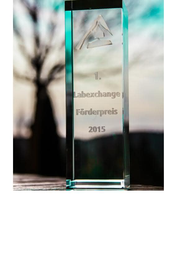 Labexchange Förderpreis 2015. Labexchange Förderpreis 2015.