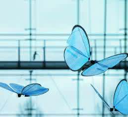 Festos Emotion Butterflies