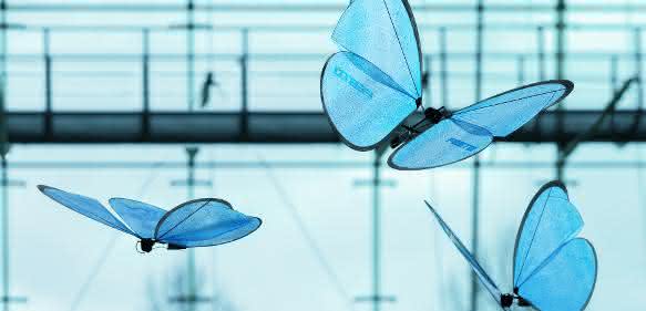 Emotion Butterflies Festos Emotion Butterflies