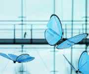 Festos Emotion Butterflies
