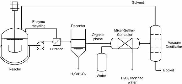 Die chemo-enzymatische Epoxidierung des ausgewählten Pflanzenöls erfolgt unter Verwendung von Wasserstoffperoxid in einem gerührten Reaktor. Nach Beendigung der Reaktion wird das immobilisierte Enzym mittels Filtration abgetrennt und zur Wiederverwendung in weiteren Reaktionszyklen zurückgeführt. In einem Dekanter wird anschließend die wässrige von der organischen Phase separiert. Die organische Phase wird zur Entfernung von Wasserstoffperoxidrückständen im Folgeschritt gewaschen. Zur Gewinnung des epoxidierten Pflanzenöls wird im letzten Prozessschritt das organische Lösemittel in einer Destillationsanlage abgetrennt und zurückgeführt. (© Fraunhofer IGB)