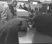 Bildergalerie: 40 Jahre Productronica Bildergalerie: 40 Jahre Productronica