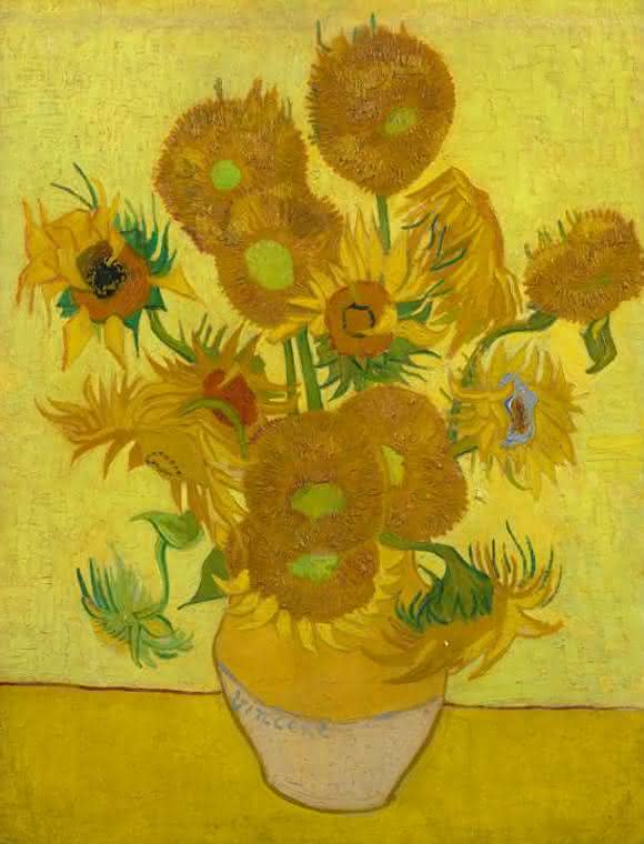 Sonnenblumen