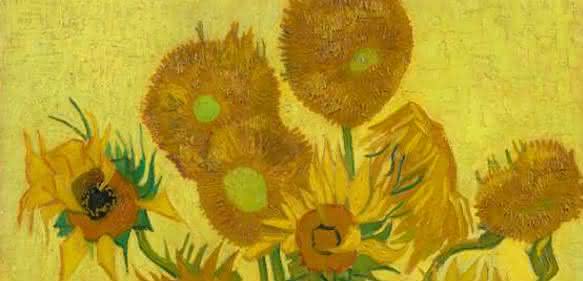 Sonnenblumen