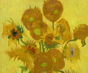 Sonnenblumen