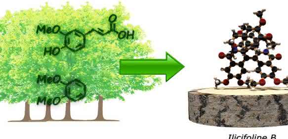Moleküle aus Holz Moleküle aus Holz