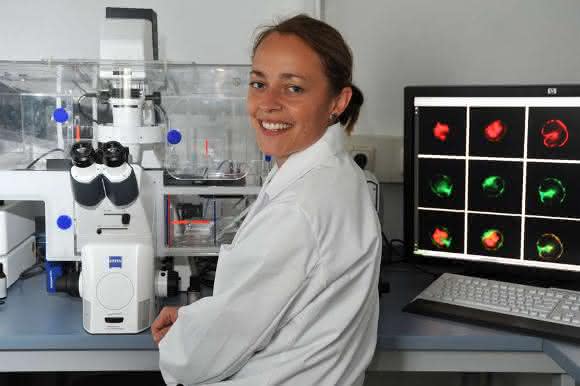 Dr. Ulrike Garscha