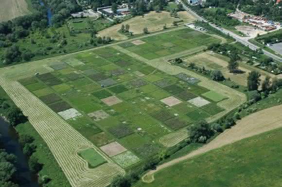 Graslandexperimente Graslandexperimente