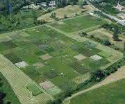 Graslandexperimente