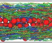 Kolloid-Polymer-Gemisch