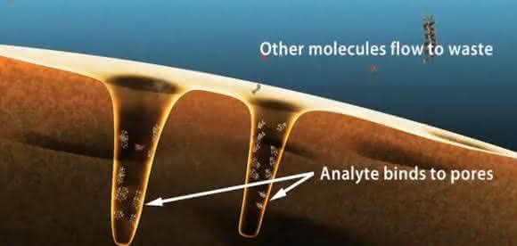 Bild 8: Retention kleiner Analytmoleküle durch Bindung in den Poren des Turboflow-Partikels. © Fa. Thermo Scientific