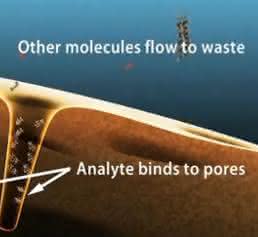 Bild 8: Retention kleiner Analytmoleküle durch Bindung in den Poren des Turboflow-Partikels. © Fa. Thermo Scientific
