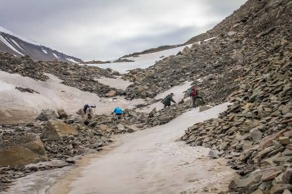 Fossiliensuchen in der Seiten-Moräne des Longyearbyen-Gletschers. (© Dr. Torsten Wappler / Universität Bonn)
