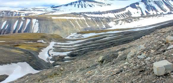 Blick ins Longyearbyen-Tal auf Spitzbergen Für die Forscher auffallend hier die schwarzen Tonsteine der Post-PETM Gilsonryggen Formation. (© Dr. Torsten Wappler / Universität Bonn)
