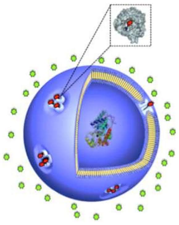 Nanobläschen Nanobläschen