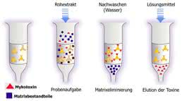 Bild 2: Prinzip des Immunoaffinitätssäulen-Clean up (IAC).