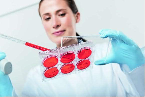 Take Good Care of Your Cells