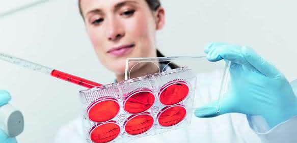 Take Good Care of Your Cells