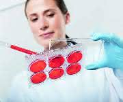 Take Good Care of Your Cells