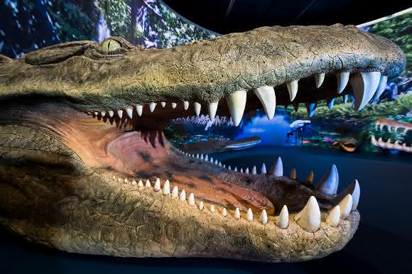 Riesenkrokodil
