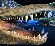 Riesenkrokodil